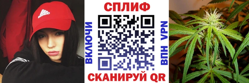 Где можно купить наркотики Рассказово АМФ  Мефедрон  ГАШИШ  Конопля 