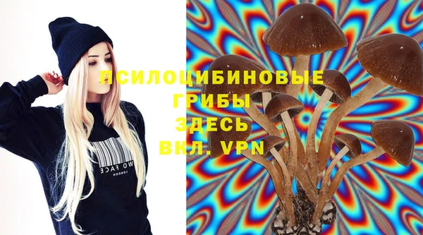 ALPHA PVP Нягань