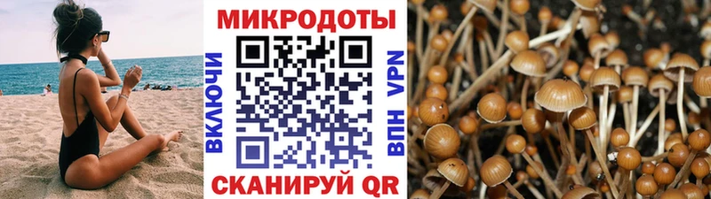 Псилоцибиновые грибы ЛСД  где найти наркотики  Рассказово 