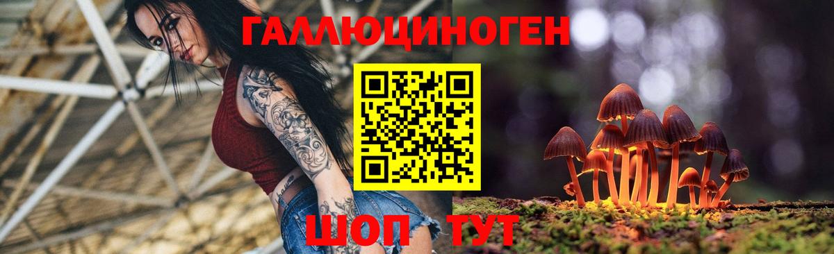 Галлюциногенные грибы GOLDEN TEACHER  Псилоцибиновые грибы прущие грибы  Вход с VPN  Рассказово 